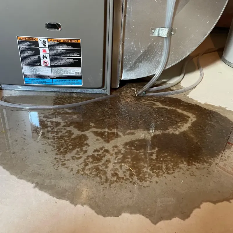 Appliance Leak Cleanup in Three Rivers, OR