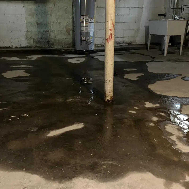 Emergency Water Extraction And Removal in Three Rivers, OR